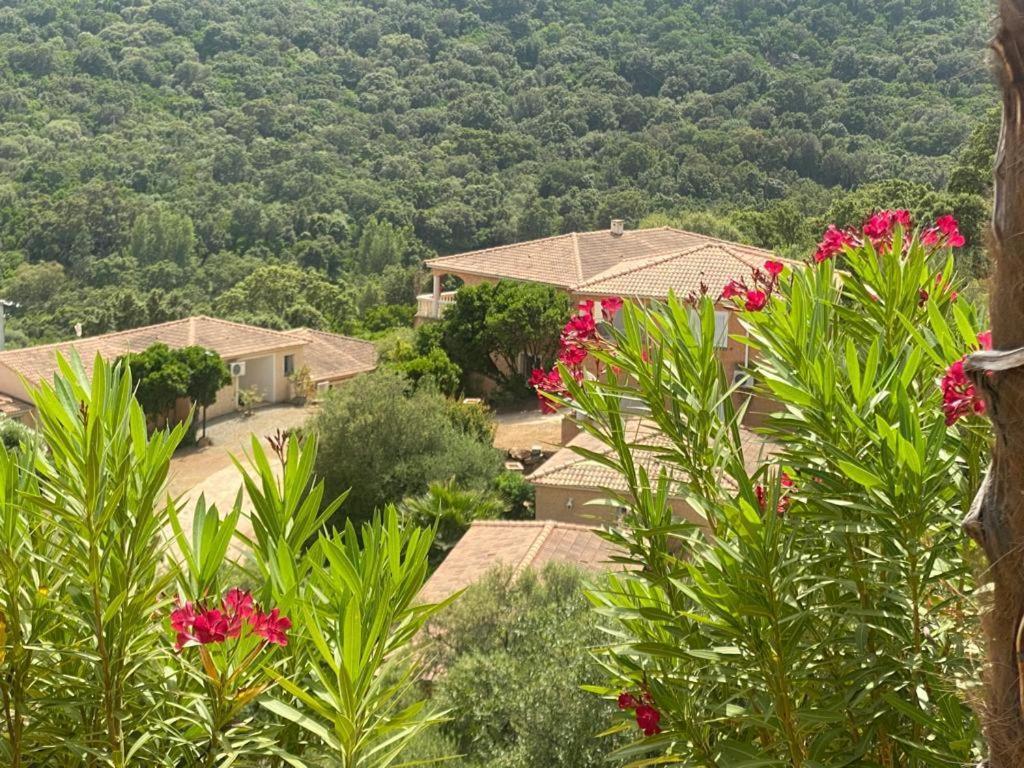 Hotel Via Mare Sainte-Lucie de Porto-Vecchio Esterno foto
